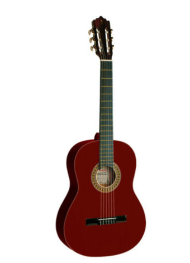 PALMER GUITARRA CLASICA PC13-WR